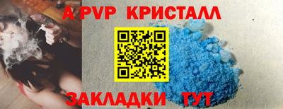 прущие грибы Тула