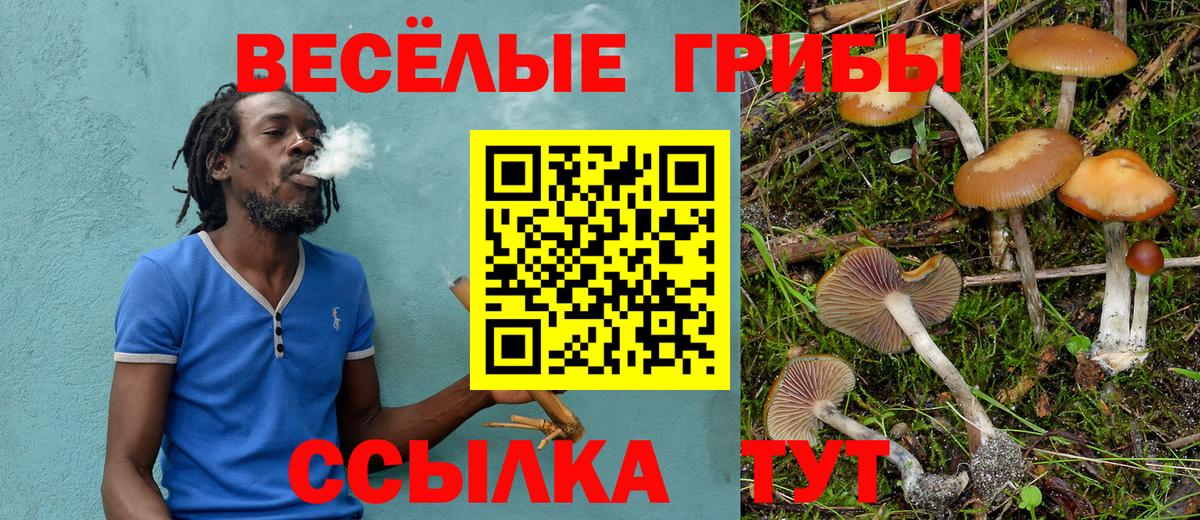 Галлюциногенные грибы ЛСД  Вход с VPN  даркнет сайт  Галлюциногенные грибы Psilocybine cubensis  Янаул 