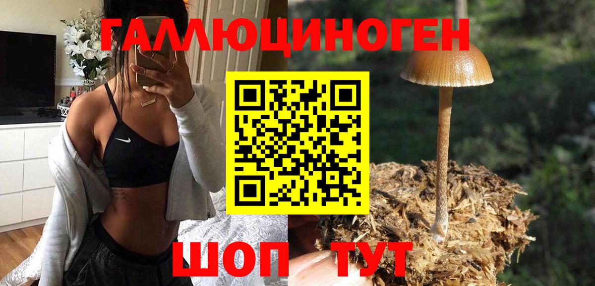 Псилоцибиновые грибы MAGIC MUSHROOMS Янаул